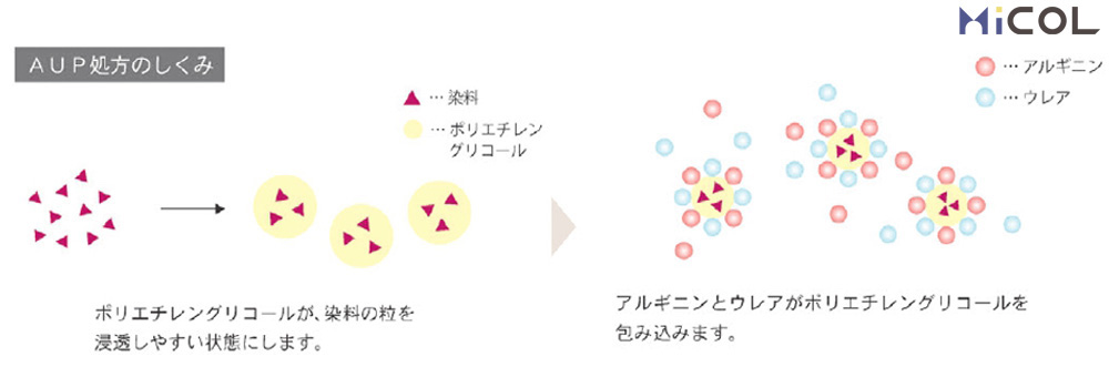 サンコール　レアラルシス　髪質改善　カラー　AUP処方のしくみ　ポリエチレングリコールが染料の粒を浸透しやすい状態にします。アルギニンとウレアがポリエチレングリコールを包み込みます。