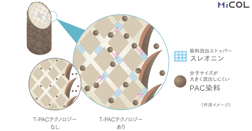 ホーユー　プロステップルミシャス　染料流出ストッパー　スレオニン　分子サイズが大きく流出しにくい　PAC染料　T-PACテクノロジーなし　T-PACテクノロジーあり　作用イメージ