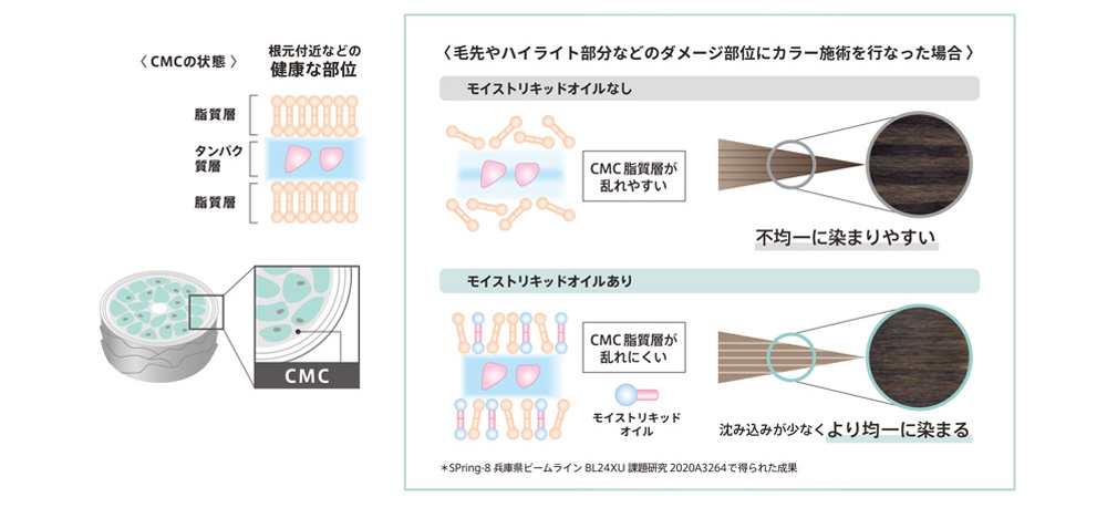 ミルボン　オルディーブ　オルディーブとは　特徴　使い方　CMCの状態：根元付近などの健康な部位　脂質層、タンパク質層、脂質層　毛先やハイライト部分などのダメージ部位にカラー施術を行った場合：モイストリキッドオイルなし→CMC脂質層が乱れやすい＝不均一に染まりやすい　モイストリキッドオイルあり→CMC脂質層が乱れにくい＝染み込みが少なくより均一に染まる