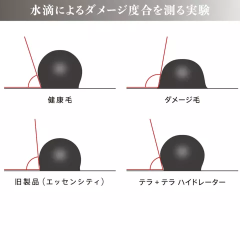 シュワルツコフ　テラ　テラとは　水滴によるダメージ度合を測る実験　健康毛　ダメージ毛　旧製品（エッセンシティ）　テラ+テラハイドレーター