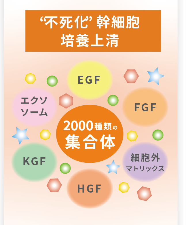 ダーウィン　リジェニティ FK クリーム　バイオリプロ FK チャージ　不死化幹細胞培養上清　EGF　FGF　細胞外マトリックス　HGF　KGF　エクソソーム　2000種類の集合体