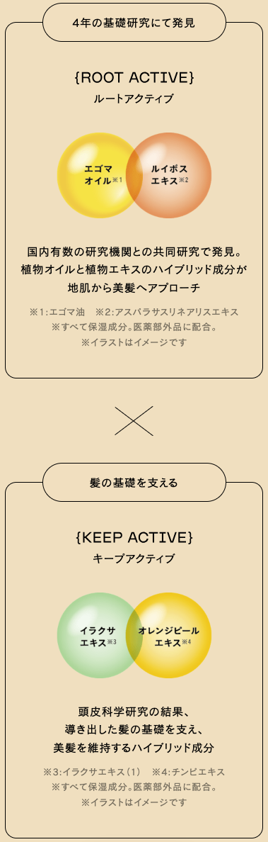 DEMI DEMI DO　デミ　デミドゥ　4年の基礎研究にて発見＜ルートアクティブ＞　エゴマオイル※1　ルイボスエキス※2　国内有数の研究機関との共同研究で発見。植物オイルと植物エキスのハイブリッド成分が地肌から美髪へアプローチ　※1・・エゴマ油　※2・・アスパラサスリネアリスエキス　髪の基礎を整える＜キープアクティブ＞　イラクサエキス※3　オレンジピールエキス※4　頭皮科学研究の結果、導き出した髪の基礎を支え、美髪を維持するハイブリッド成分　※3・・イラクサエキス（1）　※4・・チンビエキス　すべて保湿成分。医薬部外品に配合。イラストはイメージです。