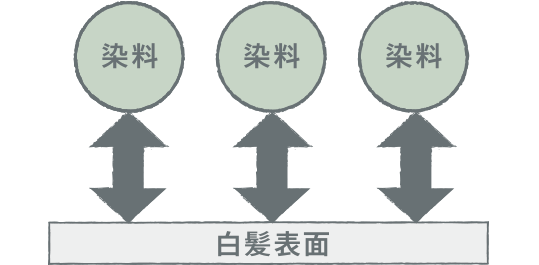 DEMI　デミ　エレベート　染料　白髪表面