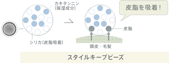 DEMI　デミ　エレベート　カキタンニン（保湿成分）　シリカ（皮脂吸着）　皮脂　頭皮・毛髪　皮脂を吸着！　スタイルキープビーズ