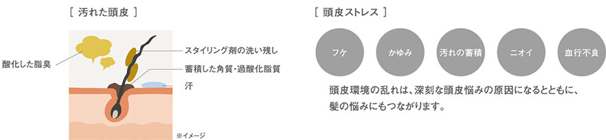 DEMI FLOWDIA デミ フローディア　汚れた頭皮　酸化した脂臭　スタイリング剤の洗い残し　蓄積した角質・過酸化脂質　汗　頭皮ストレス　フケ　かゆみ　汚れの蓄積　ニオイ　血行不良　頭皮環境の乱れは、深刻な頭皮悩みの原因になるとともに、髪の悩みにも繋がります