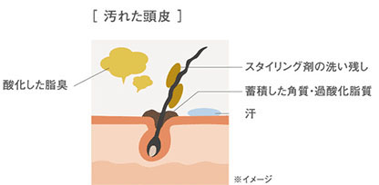 DEMI FLOWDIA デミ フローディア　汚れた頭皮　酸化した脂臭　スタイリング剤の洗い残し　蓄積した角質・過酸化脂質　汗