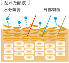 DEMI FLOWDIA デミ フローディア　乱れた頭皮　水分蒸発　外的刺激