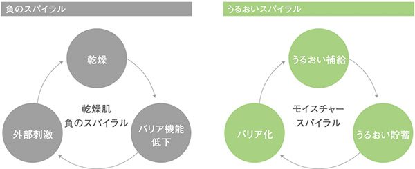 DEMI FLOWDIA デミ フローディア　負のスパイラル　乾燥　バリア機能低下　外部刺激　乾燥肌　負のスパイラル　うるおいスパイラル　うるおい補給　うるおい貯蓄　バリア化