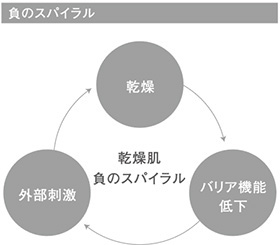 DEMI FLOWDIA デミ フローディア　負のスパイラル　乾燥　バリア機能低下　外部刺激　乾燥肌　負のスパイラル