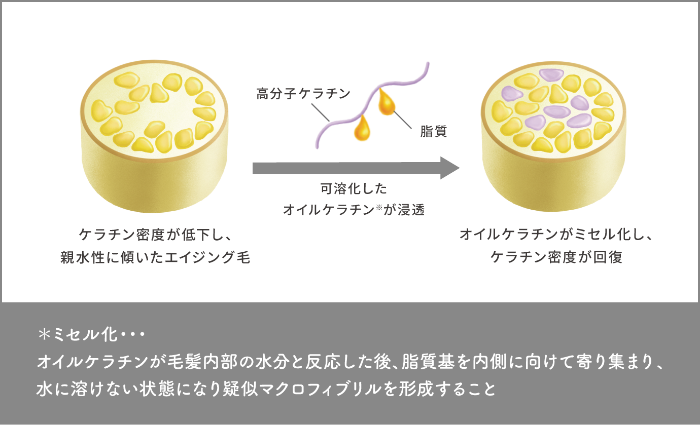 DEMI FLOWDIA デミ フローディア　ケラチン密度が低下し、親水性に傾いたエイジング毛　可溶化したオイルケラチン※ が浸透　高分子ケラチン　脂質　オイルケラチンがミセル化し、ケラチン密度が回復　ミセル化・・オイルケラチンが毛髪内部の水分と反応した後、脂質基を内側に向けて寄り集まり、水に溶けない状態になり擬似マクロフィブリルを形成すること