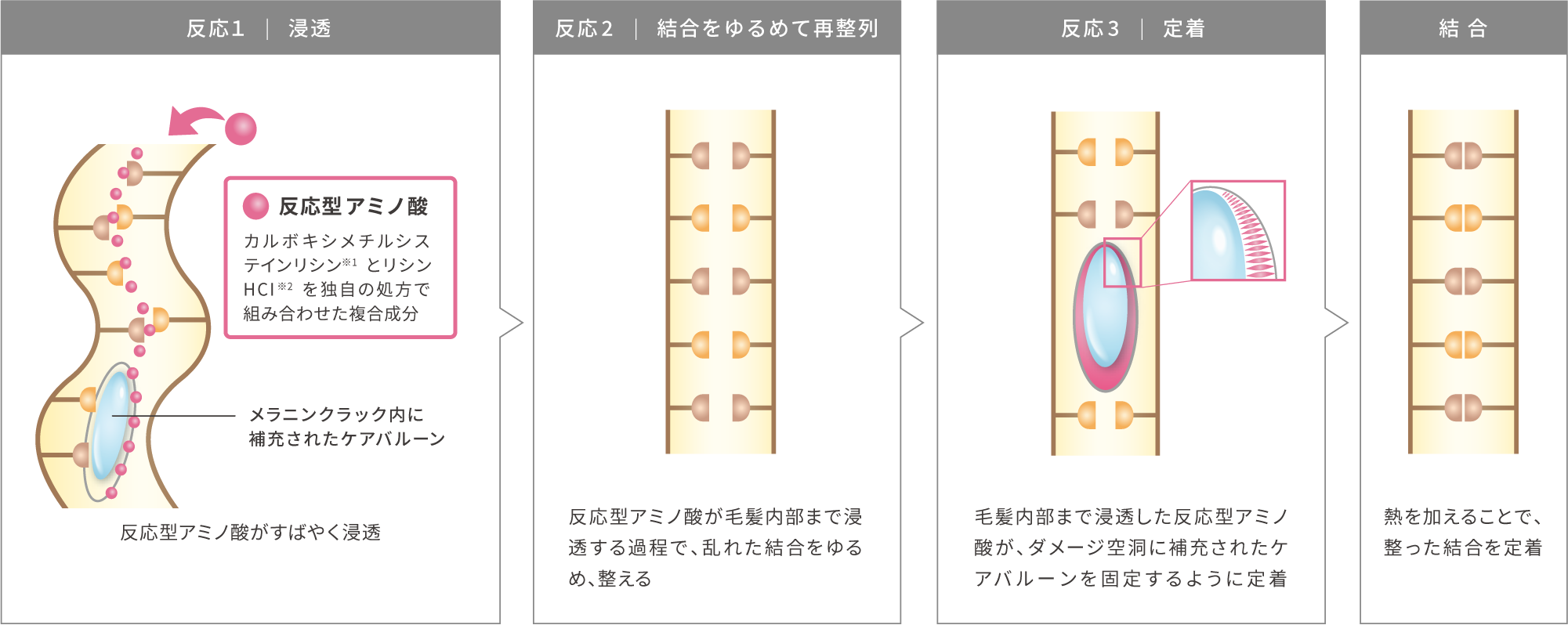 DEMI FLOWDIA デミ フローディア　反応1　浸透　反応型アミノ酸　カルボキシメチルシステインリシン※1　とリシンHCI※2　を独自の処方で組み合わせた複合成分　メラニンクラック内に補充されたケアバルーン　反応型アミノ酸がすばやく浸透　反応2　結合をゆるめて再整列　反応型アミノ酸が毛髪内部まで浸透する過程で、乱れた結合をゆるめ、整える　反応3　定着　毛髪内部まで浸透した反応型アミノ酸が、ダメージ空洞に補充されたケアバルーンを固定するように定着　結合　熱を加えることで、整った結合を定着