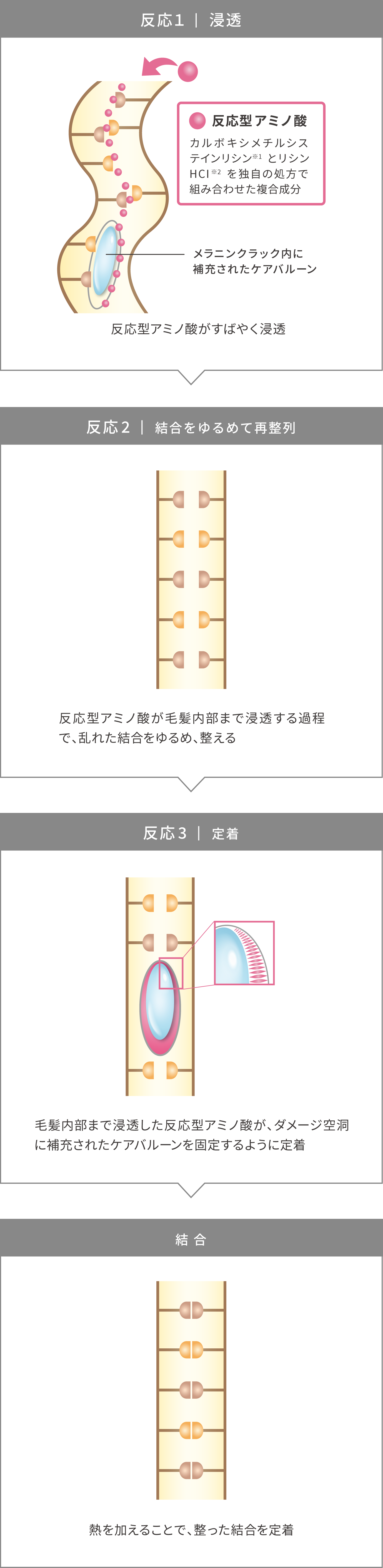 DEMI FLOWDIA デミ フローディア　反応1　浸透　反応型アミノ酸　カルボキシメチルシステインリシン※1　とリシンHCI※2　を独自の処方で組み合わせた複合成分　メラニンクラック内に補充されたケアバルーン　反応型アミノ酸がすばやく浸透　反応2　結合をゆるめて再整列　反応型アミノ酸が毛髪内部まで浸透する過程で、乱れた結合をゆるめ、整える　反応3　定着　毛髪内部まで浸透した反応型アミノ酸が、ダメージ空洞に補充されたケアバルーンを固定するように定着　結合　熱を加えることで、整った結合を定着